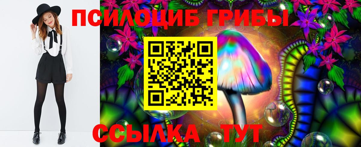 Галлюциногенные грибы ЛСД Новокубанск