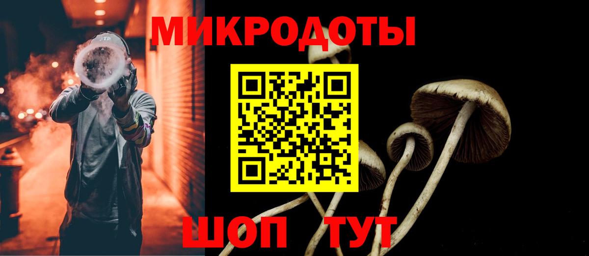 Галлюциногенные грибы GOLDEN TEACHER  Вход с VPN  Новокубанск 