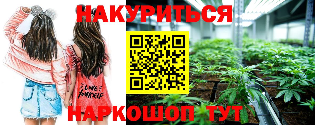 Шишки марихуана гибрид Новокубанск